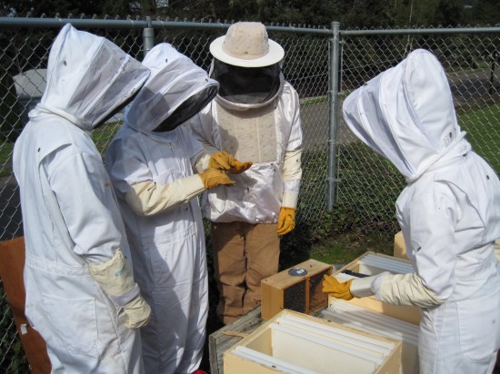 Kennedy+beekeepers