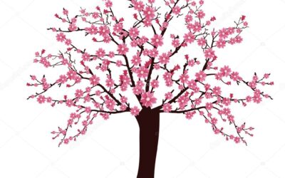 Lessons for teaching in the environment and community – 11