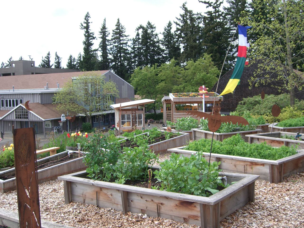 Why Garden in School Part 20   CLEARING PNW Journal of ...