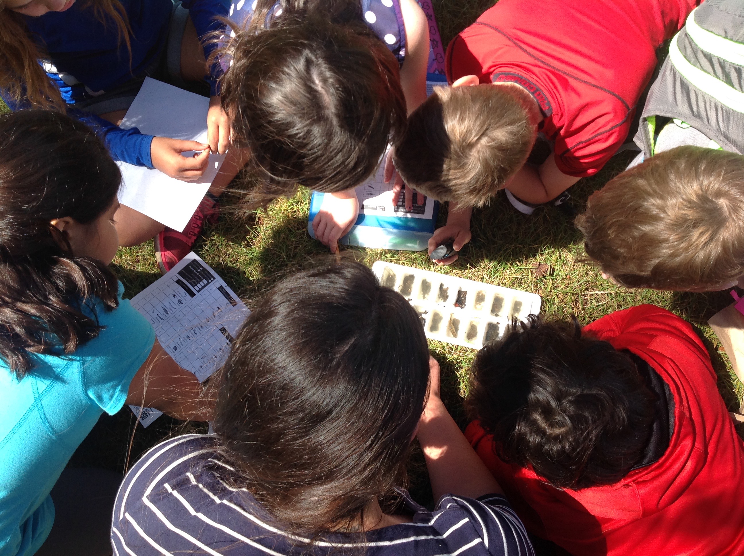 Integration Can Help You Teach More Science and Environmental Education