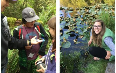 An Educator’s Guide to Stewardship