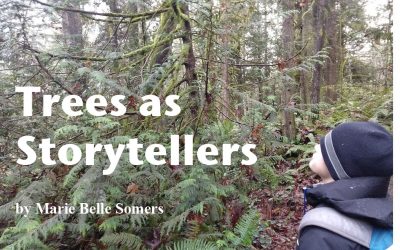 Trees as Storytellers