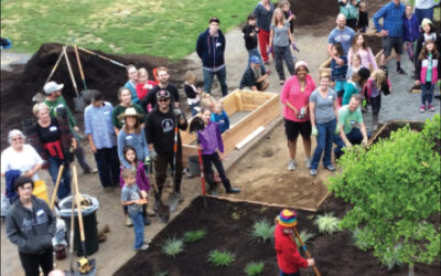 Bringing Nature Back to the Schoolyard