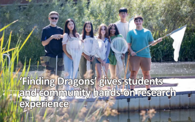 Finding Dragons