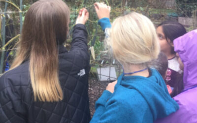 Experiential Learning to Create Authentic Learning