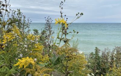 Building Environmental Education from Community Resources