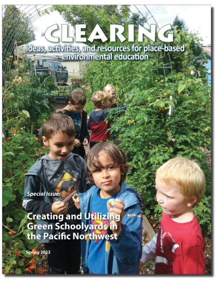 Slide Show Schoolyard Cover