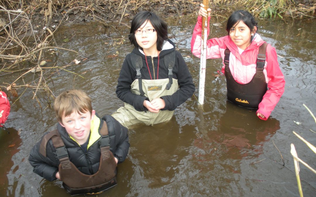 Field-based Inquiry: Developing Comprehension and Memory