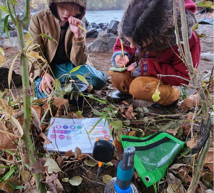 Homeschooling and the Establishment of a Research Forest