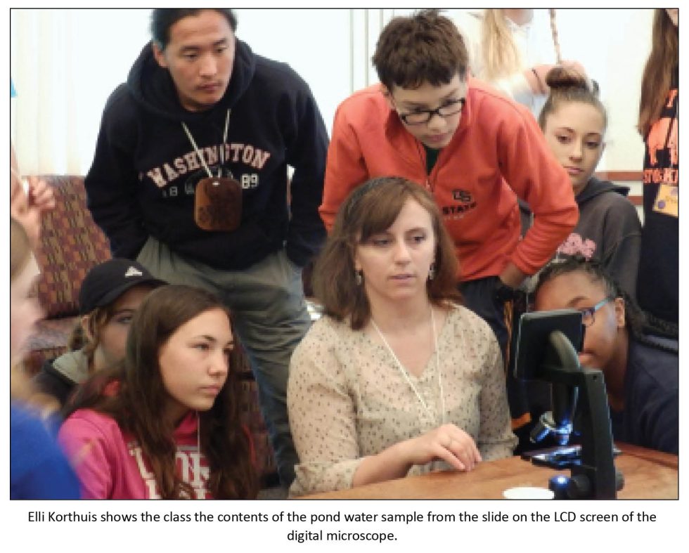 Making Science Engaging at Camp | CLEARING: PNW Journal of Environmental Education in the ...