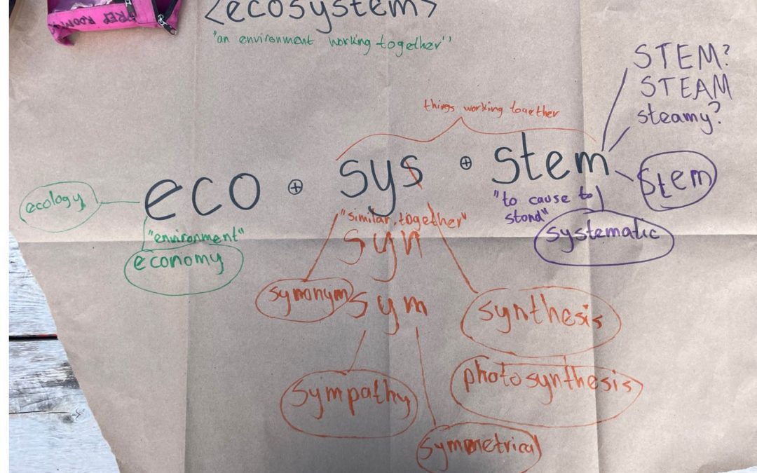 A linguistic “ecosystem”: Word study methods for outdoor education