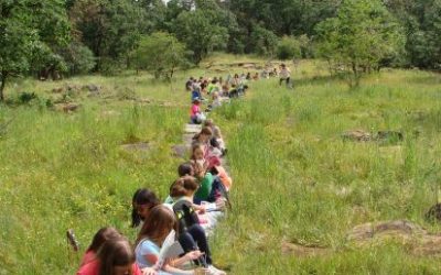 Connecting to the Natural World – Biome Bonanza!