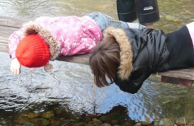 Inquiry: Letting Kids Wonder