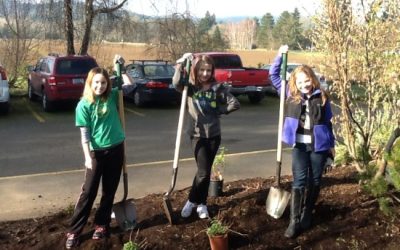 Grade 3-5 Activity: Nature Observation